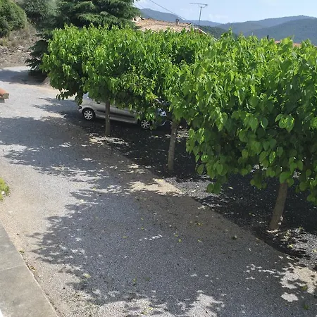 El Violí Pensión Cardona