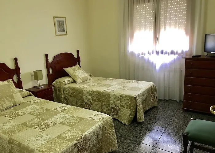 El Violi