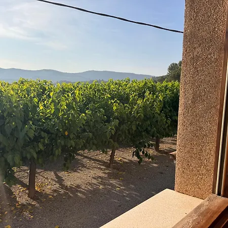 El Violi Guest house Cardona
