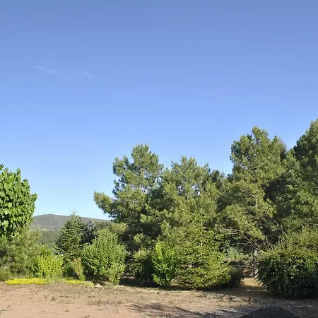 El Violi Guest house