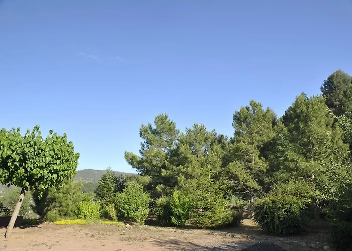 El Violi Maison d'hôtes